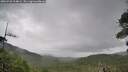 ./images/calvert/fitz-hugh-hecate/20260730/fitz-hugh-hecate20260730_124001M.jpg