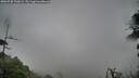 ./images/calvert/fitz-hugh-hecate/20260730/fitz-hugh-hecate20260730_130002M.jpg