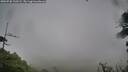 ./images/calvert/fitz-hugh-hecate/20260730/fitz-hugh-hecate20260730_130501M.jpg