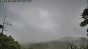 ./images/calvert/fitz-hugh-hecate/20260730/fitz-hugh-hecate20260730_132501M.jpg
