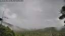 ./images/calvert/fitz-hugh-hecate/20260730/fitz-hugh-hecate20260730_133002M.jpg