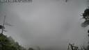 ./images/calvert/fitz-hugh-hecate/20260730/fitz-hugh-hecate20260730_140001M.jpg