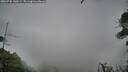 ./images/calvert/fitz-hugh-hecate/20260730/fitz-hugh-hecate20260730_140501M.jpg