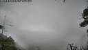 ./images/calvert/fitz-hugh-hecate/20260730/fitz-hugh-hecate20260730_141002M.jpg