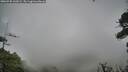 ./images/calvert/fitz-hugh-hecate/20260730/fitz-hugh-hecate20260730_142002M.jpg