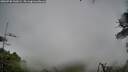 ./images/calvert/fitz-hugh-hecate/20260730/fitz-hugh-hecate20260730_143001M.jpg