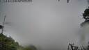 ./images/calvert/fitz-hugh-hecate/20260730/fitz-hugh-hecate20260730_153001M.jpg