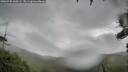 ./images/calvert/fitz-hugh-hecate/20260730/fitz-hugh-hecate20260730_160502M.jpg
