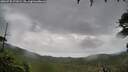 ./images/calvert/fitz-hugh-hecate/20260730/fitz-hugh-hecate20260730_171001M.jpg
