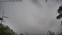 ./images/calvert/fitz-hugh-hecate/20260730/fitz-hugh-hecate20260730_181501M.jpg
