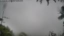 ./images/calvert/fitz-hugh-hecate/20260730/fitz-hugh-hecate20260730_185001M.jpg