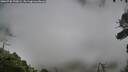 ./images/calvert/fitz-hugh-hecate/20260730/fitz-hugh-hecate20260730_190001M.jpg