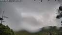 ./images/calvert/fitz-hugh-hecate/20260730/fitz-hugh-hecate20260730_205001M.jpg