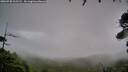 ./images/calvert/fitz-hugh-hecate/20260730/fitz-hugh-hecate20260730_211501M.jpg