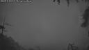 ./images/calvert/fitz-hugh-hecate/20260731/fitz-hugh-hecate20260731_051501M.jpg