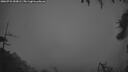 ./images/calvert/fitz-hugh-hecate/20260731/fitz-hugh-hecate20260731_052001M.jpg