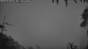 ./images/calvert/fitz-hugh-hecate/20260731/fitz-hugh-hecate20260731_052501M.jpg