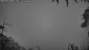 ./images/calvert/fitz-hugh-hecate/20260731/fitz-hugh-hecate20260731_053001M.jpg