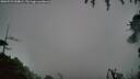 ./images/calvert/fitz-hugh-hecate/20260731/fitz-hugh-hecate20260731_054001M.jpg