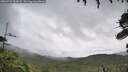 ./images/calvert/fitz-hugh-hecate/20260731/fitz-hugh-hecate20260731_103002M.jpg