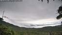./images/calvert/fitz-hugh-hecate/20260731/fitz-hugh-hecate20260731_105002M.jpg