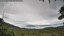 ./images/calvert/fitz-hugh-hecate/20260731/fitz-hugh-hecate20260731_110501M.jpg