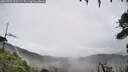 ./images/calvert/fitz-hugh-hecate/20260731/fitz-hugh-hecate20260731_120501M.jpg