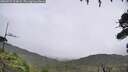 ./images/calvert/fitz-hugh-hecate/20260731/fitz-hugh-hecate20260731_123001M.jpg