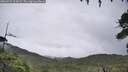 ./images/calvert/fitz-hugh-hecate/20260731/fitz-hugh-hecate20260731_124502M.jpg