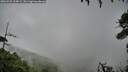./images/calvert/fitz-hugh-hecate/20260731/fitz-hugh-hecate20260731_134002M.jpg