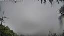 ./images/calvert/fitz-hugh-hecate/20260731/fitz-hugh-hecate20260731_182501M.jpg