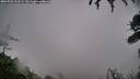 ./images/calvert/fitz-hugh-hecate/20260731/fitz-hugh-hecate20260731_211501M.jpg