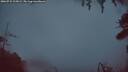 ./images/calvert/fitz-hugh-hecate/20260731/fitz-hugh-hecate20260731_215002M.jpg