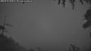 ./images/calvert/fitz-hugh-hecate/20260731/fitz-hugh-hecate20260731_220001M.jpg