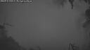 ./images/calvert/fitz-hugh-hecate/20260731/fitz-hugh-hecate20260731_220501M.jpg