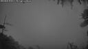 ./images/calvert/fitz-hugh-hecate/20260801/fitz-hugh-hecate20260801_052001M.jpg