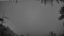 ./images/calvert/fitz-hugh-hecate/20260801/fitz-hugh-hecate20260801_052501M.jpg