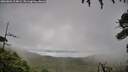 ./images/calvert/fitz-hugh-hecate/20260801/fitz-hugh-hecate20260801_114002M.jpg