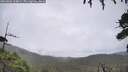 ./images/calvert/fitz-hugh-hecate/20260801/fitz-hugh-hecate20260801_134001M.jpg
