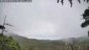 ./images/calvert/fitz-hugh-hecate/20260801/fitz-hugh-hecate20260801_135001M.jpg