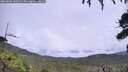 ./images/calvert/fitz-hugh-hecate/20260801/fitz-hugh-hecate20260801_140501M.jpg