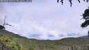 ./images/calvert/fitz-hugh-hecate/20260801/fitz-hugh-hecate20260801_141002M.jpg