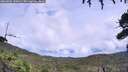 ./images/calvert/fitz-hugh-hecate/20260801/fitz-hugh-hecate20260801_142001M.jpg