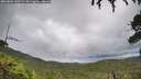 ./images/calvert/fitz-hugh-hecate/20260801/fitz-hugh-hecate20260801_145501M.jpg