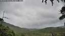 ./images/calvert/fitz-hugh-hecate/20260801/fitz-hugh-hecate20260801_151502M.jpg