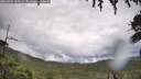 ./images/calvert/fitz-hugh-hecate/20260801/fitz-hugh-hecate20260801_160501M.jpg