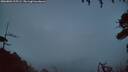 ./images/calvert/fitz-hugh-hecate/20260801/fitz-hugh-hecate20260801_215502M.jpg