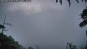 ./images/calvert/fitz-hugh-hecate/20260802/fitz-hugh-hecate20260802_053501M.jpg