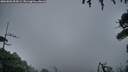 ./images/calvert/fitz-hugh-hecate/20260802/fitz-hugh-hecate20260802_054501M.jpg