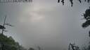 ./images/calvert/fitz-hugh-hecate/20260802/fitz-hugh-hecate20260802_055001M.jpg
